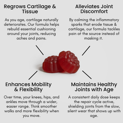 Joint & Mobility Support Gummies (Made in USA)