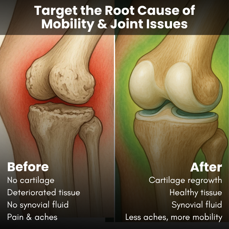Joint & Mobility Support Gummies (Made in USA)