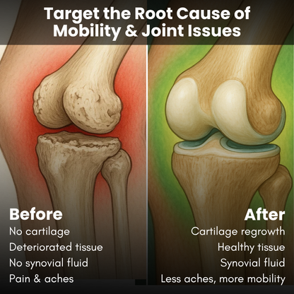Joint & Mobility Support Gummies (Made in USA)